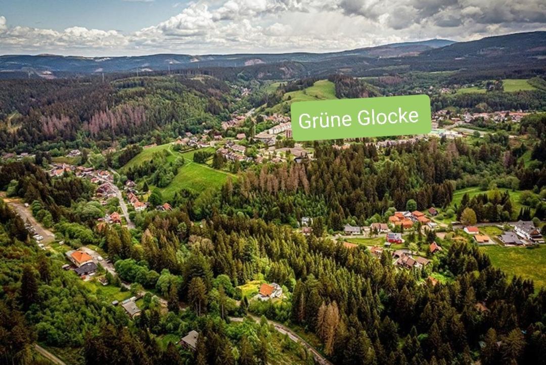 Gruene Glocke Lejlighed Altenau  Eksteriør billede